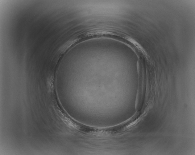 X0000075360785200609151636