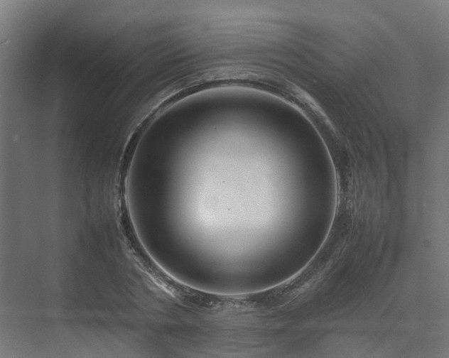 X0000075360786200609151636