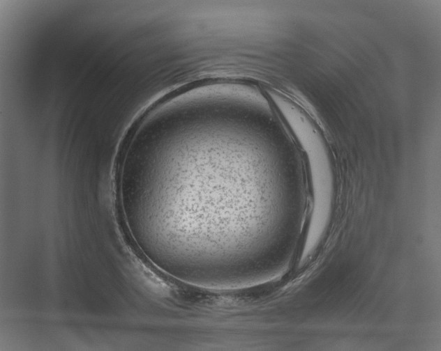 X0000075360787200609151635