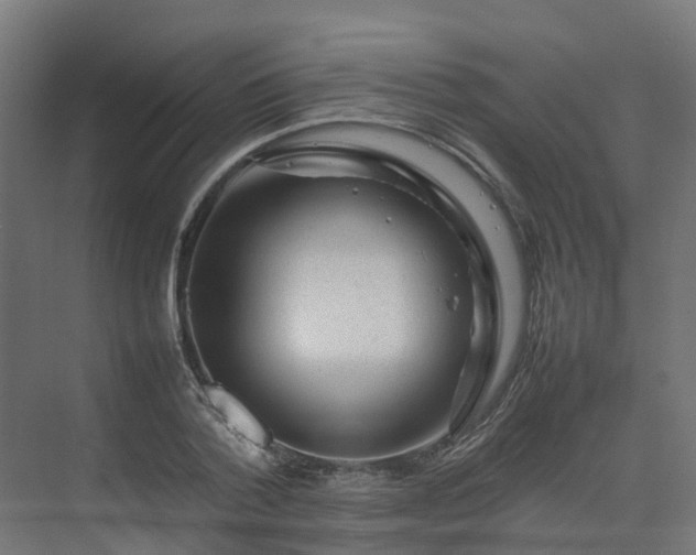 X0000075360788200609151635