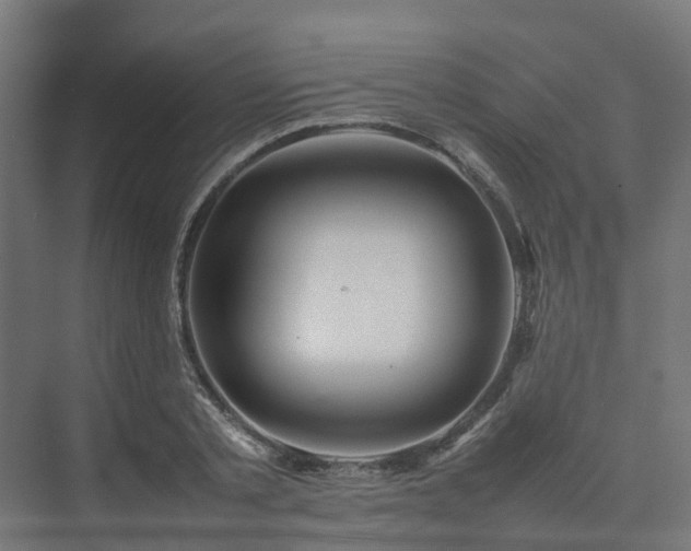 X0000075360789200609151635