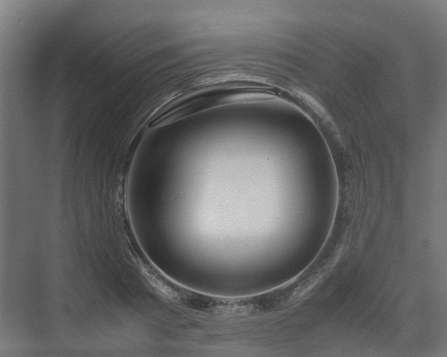 X0000075360793200609151635