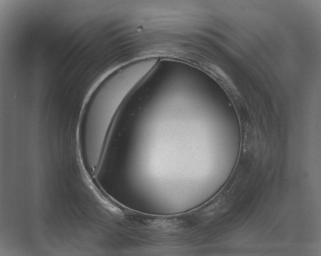 X0000075360796200609151635