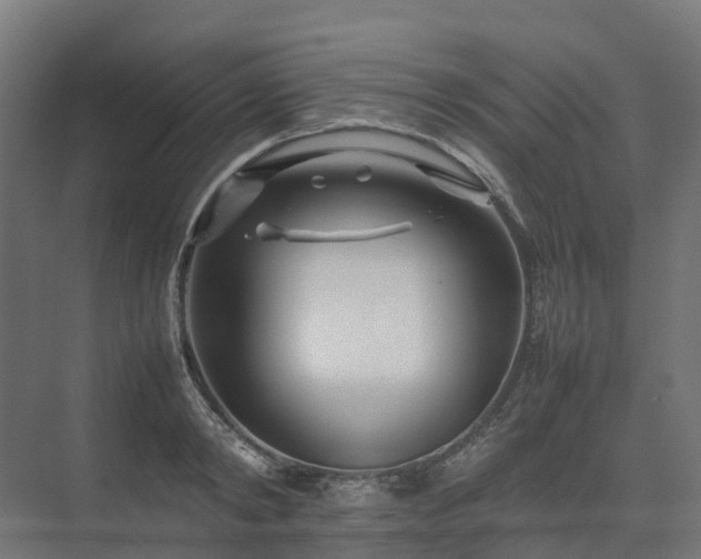 X0000075360798200609151635