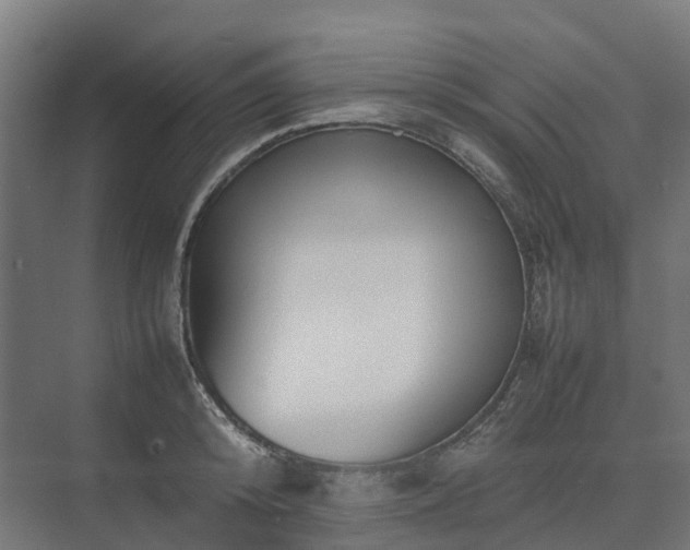 X0000075360800200609151635