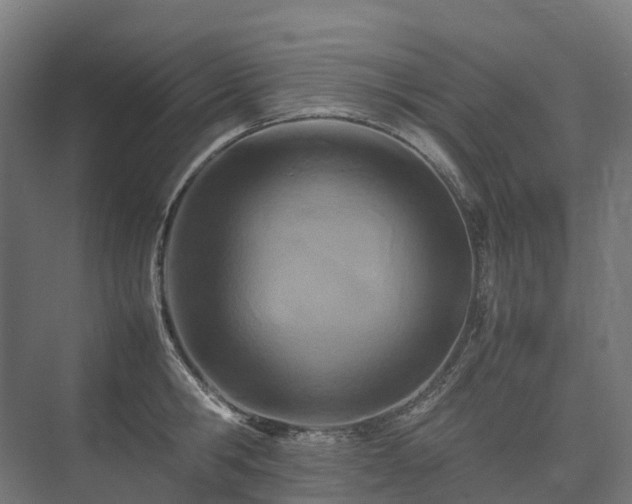 X0000075360806200609151635