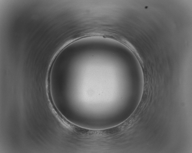 X0000075360811200609151635