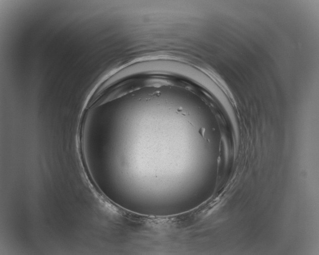 X0000075360813200609151635