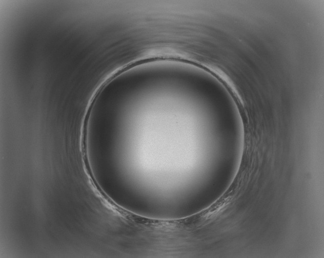 X0000075360815200609151635