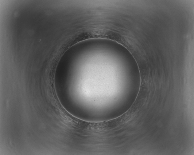 X0000075360817200609151634