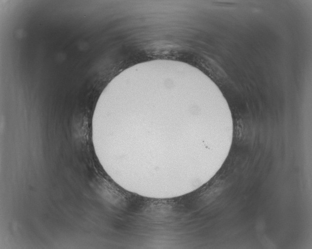 X0000075360820200609151634