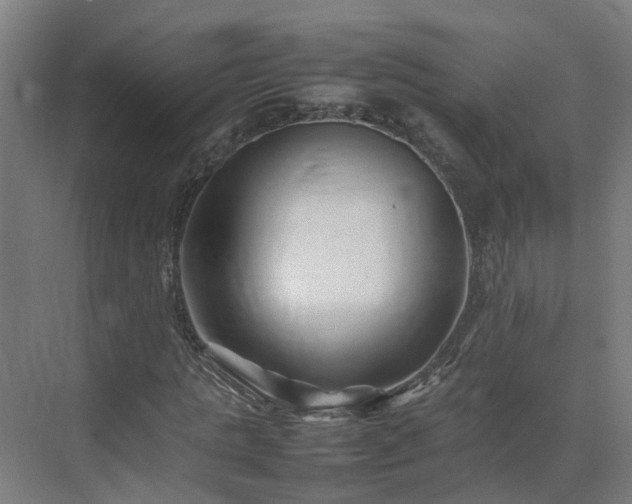 X0000075360821200609151634