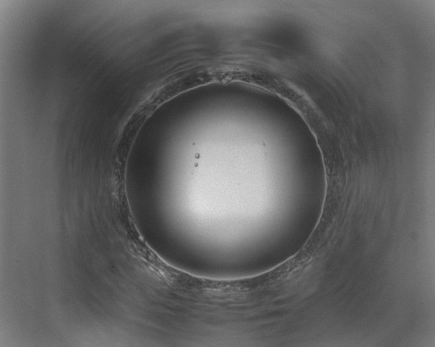 X0000075360823200609151634