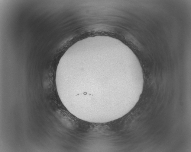 X0000075360824200609151634