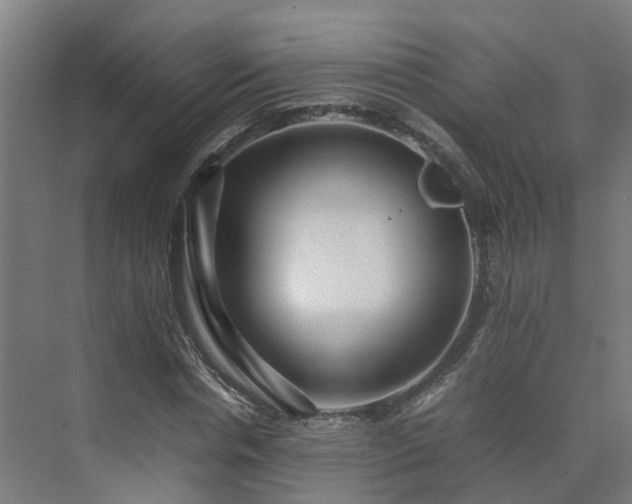 X0000075360826200609151634