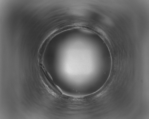 X0000075360827200609151634