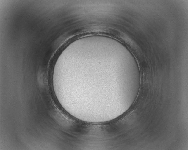 X0000075360828200609151634