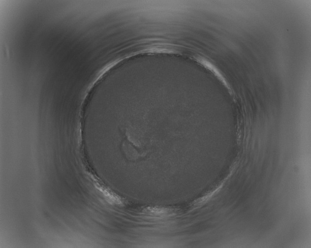 X0000075360829200609151634