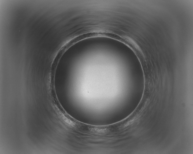 X0000075360831200609151634