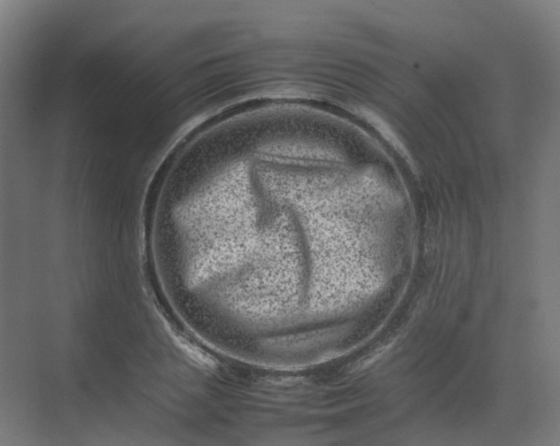 X0000075360837200609151635