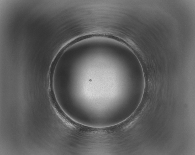 X0000075360838200609151635