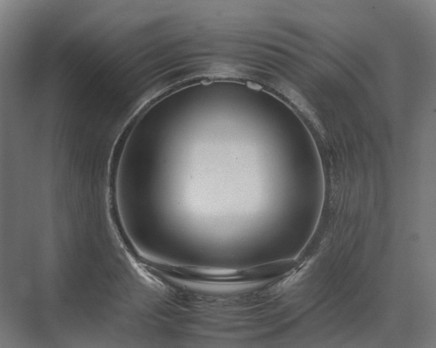 X0000075360845200609151635