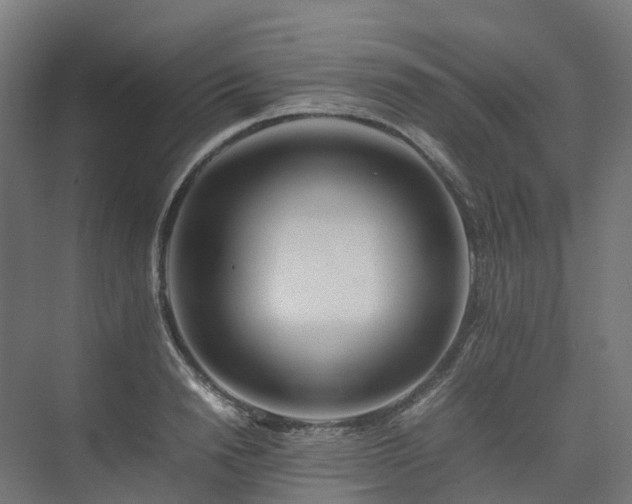 X0000075360846200609151635