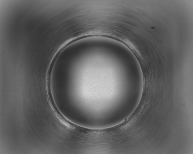 X0000075360854200609151635