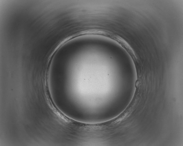 X0000075360860200609151635