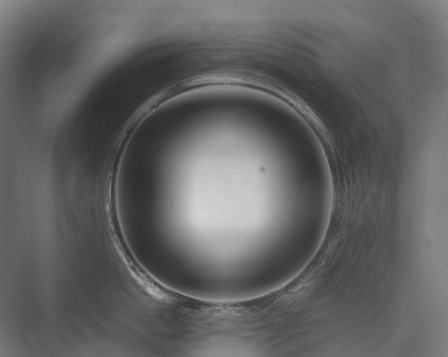 X0000075360862200609151635