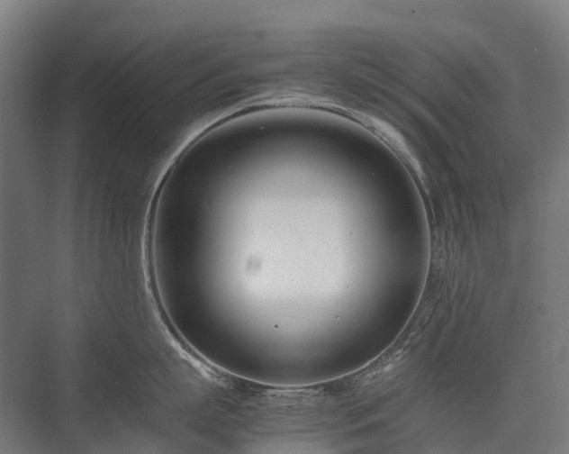 X0000075360863200609151635