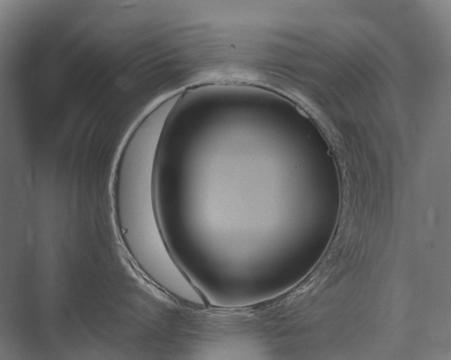 X0000075360864200609151635