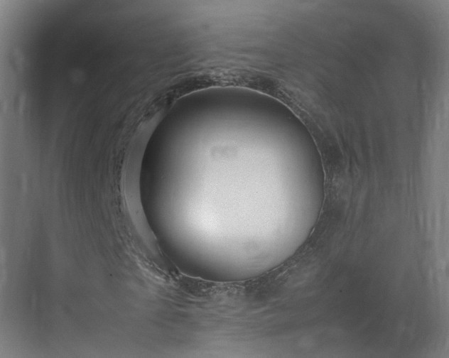 X0000075360865200609151634