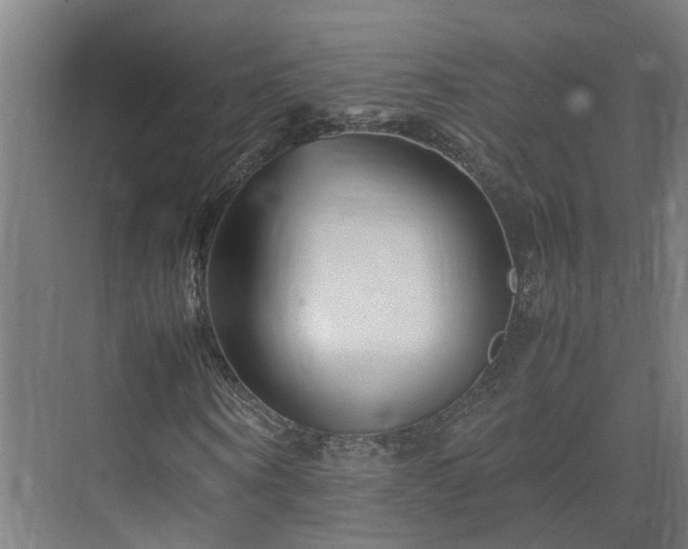 X0000075360866200609151634