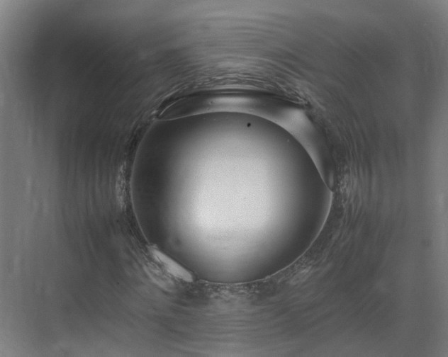 X0000075360868200609151634