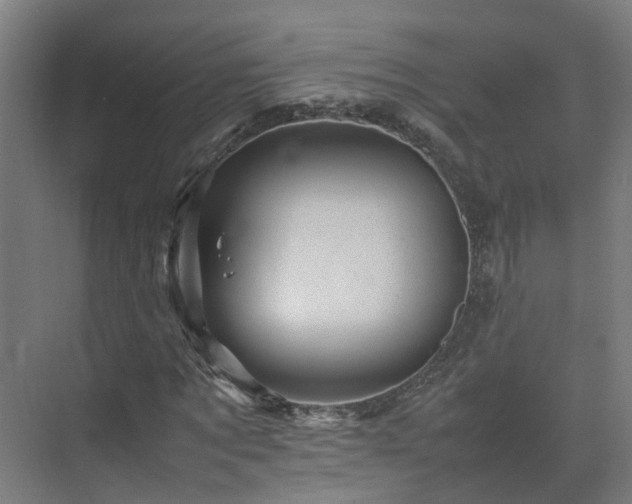 X0000075360869200609151634