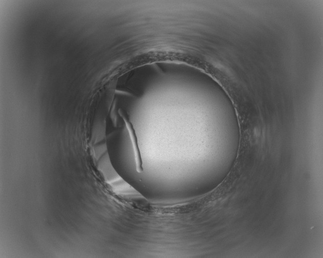 X0000075360870200609151634