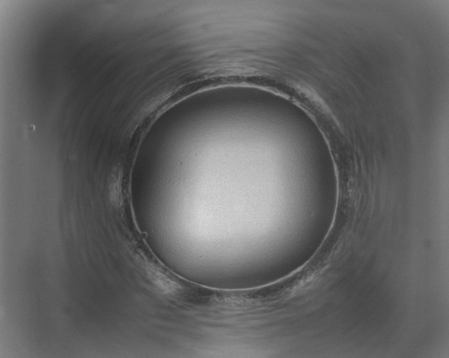 X0000075360873200609151634