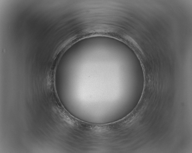 X0000075360874200609151634