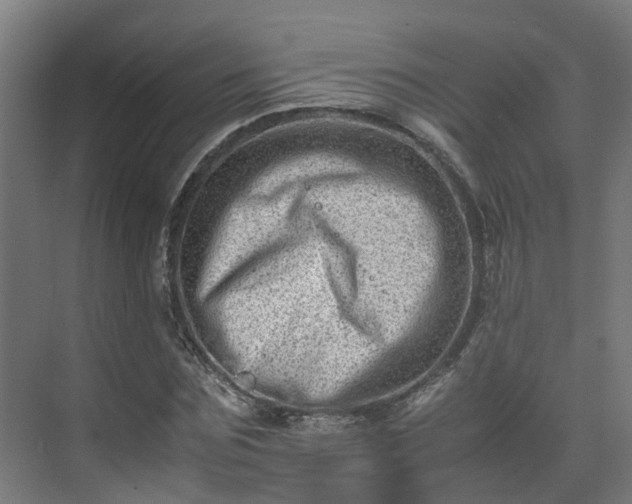 X0000075360875200609151634