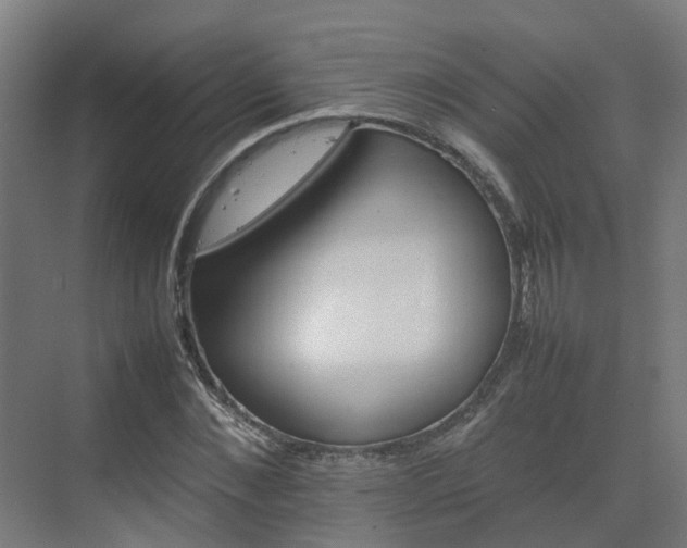 X0000075360876200609151634