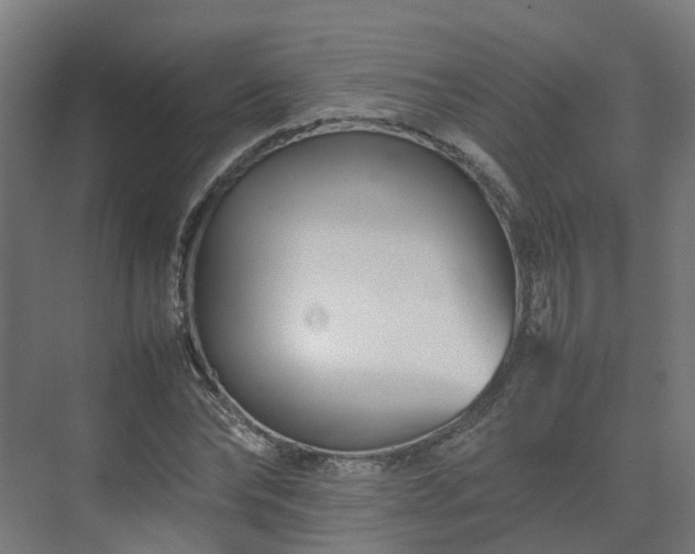 X0000075360878200609151634