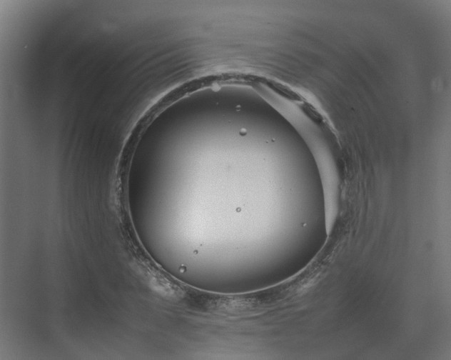 X0000075360879200609151634