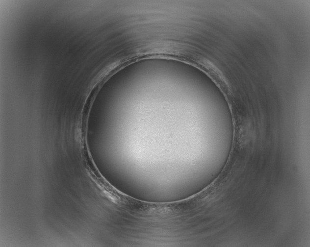 X0000075360882200609151634