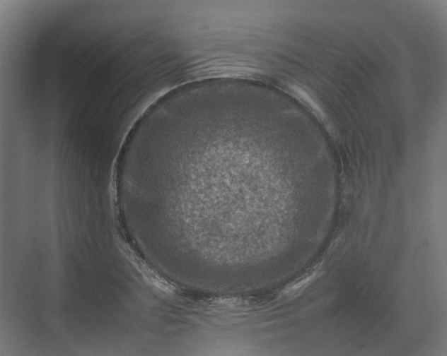 X0000075360883200609151634