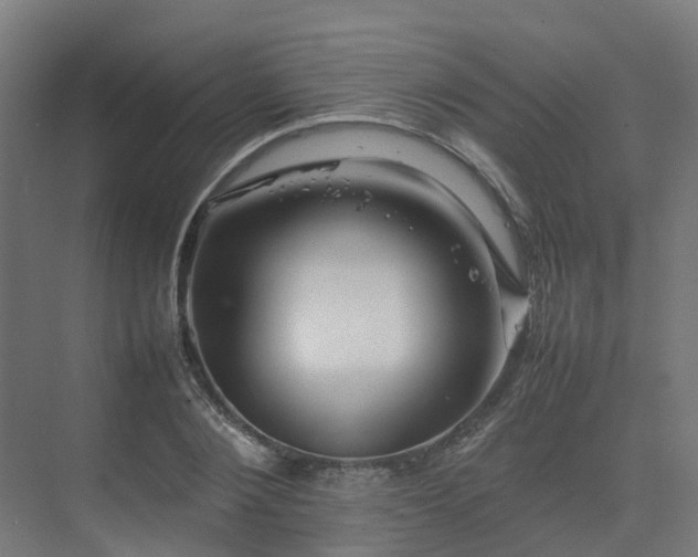 X0000075360884200609151634