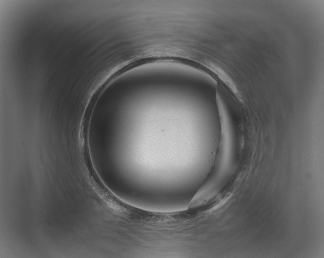 X0000075360885200609151634