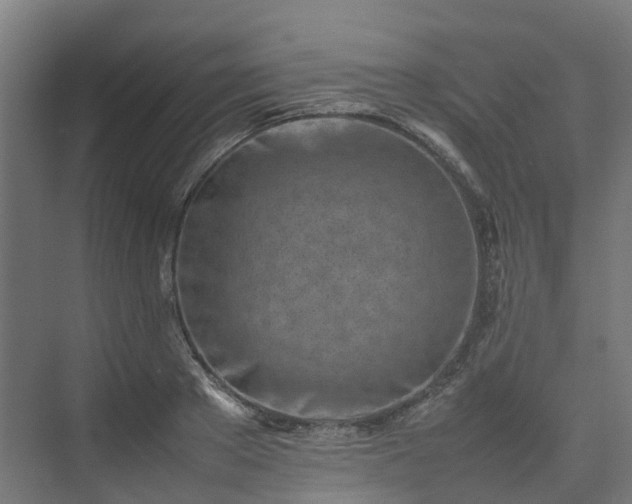 X0000075360889200609151634