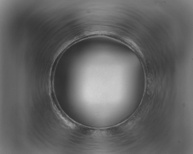 X0000075360890200609151634