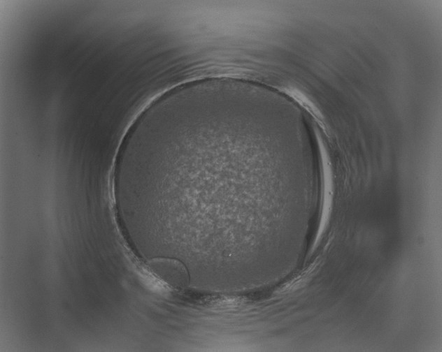 X0000075360891200609151634